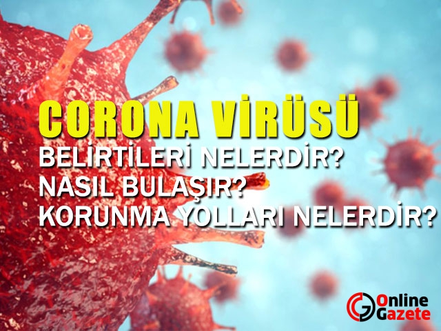 Korona Virüs Hakkında Merak Ettikleriniz...