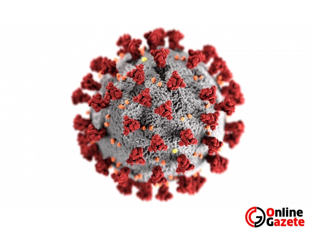 Türkiye'de Corona virüs testi nerede yapılıyor?