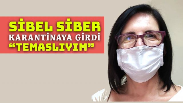 Meclis Eski Başkanı Siber "temaslı" olduğunu açıkladı