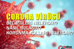 Korona Virüs Hakkında Merak Ettikleriniz...
