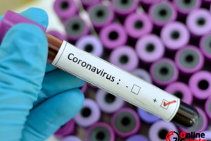 Koronavirüsün iki kuzeni tespit edildi