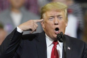 Trump: "Sayımı Durdurun"