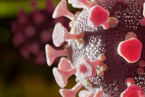 Gönüllüye Korona bulaştırılır