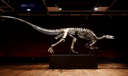 Satılık dinozor var