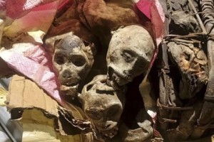 Havalimanında mumya alarmı: Yemek için getirmiş